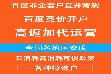 百度竞价SEM案例研究：提升转化率的关键策略